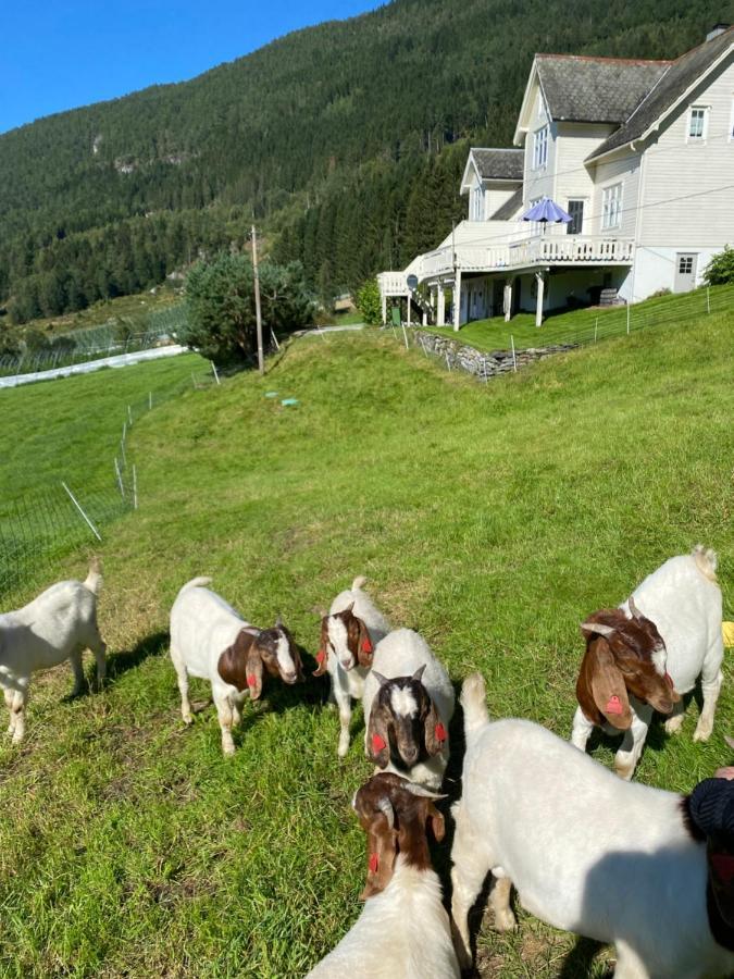 The House Of Mattis In Beautiful Innvik Buitenkant foto